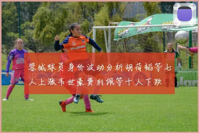 蓉城球员身价波动分析胡荷韬等七人上涨韦世豪费利佩等十人下跌